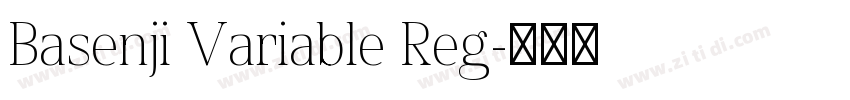 Basenji Variable Reg字体转换 Basenji Variable Reg字体转换